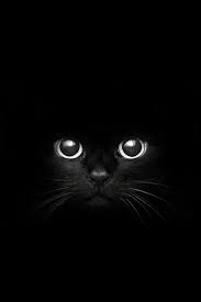 Voodoo curses